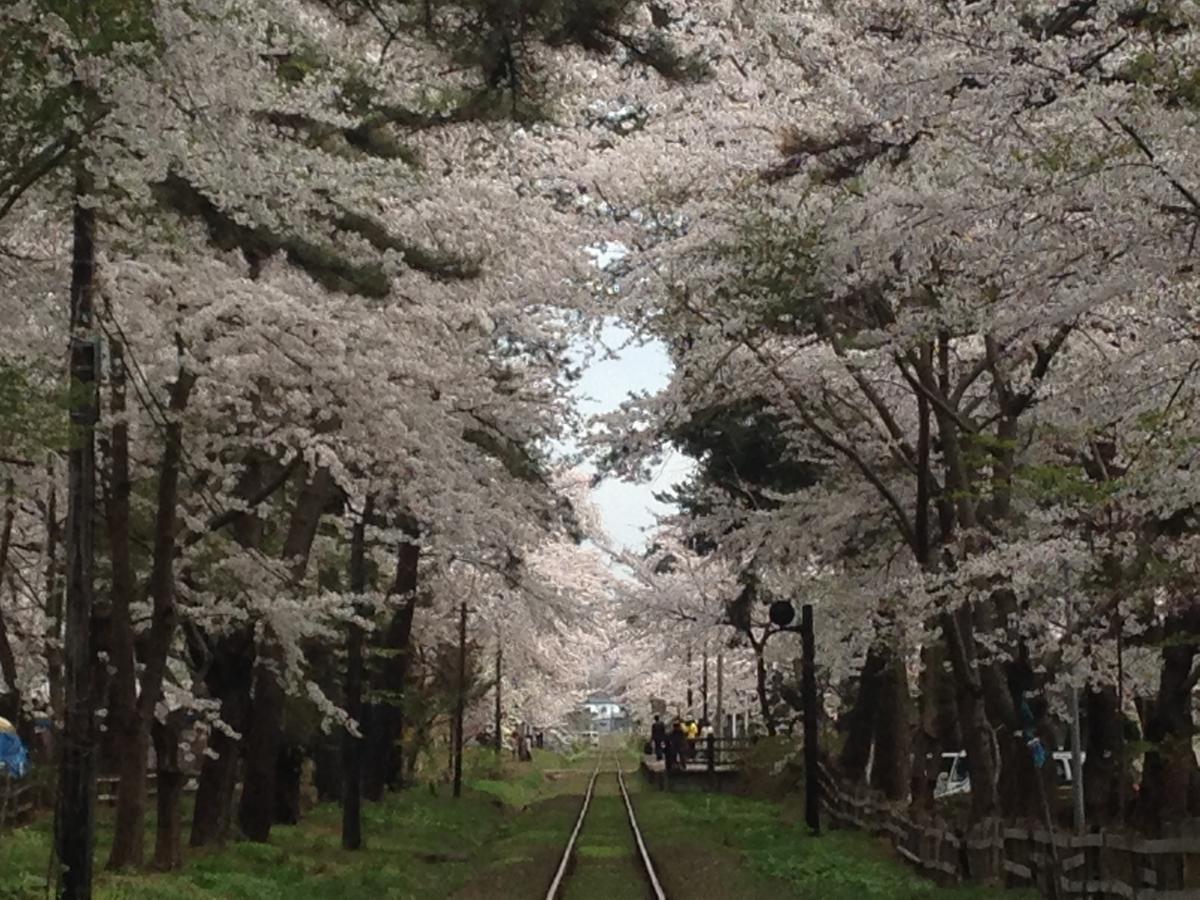 พาร์ค อินน์ โกะโชะงะวะระ เอล์มซิตี้ Goshogawara ภายนอก รูปภาพ